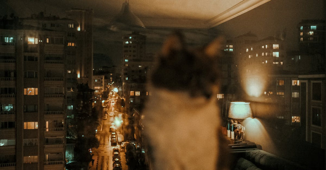 Novedades: anime & gaming — Naniwa-kyō, Q132869361 (15 Dec 2025 — 2…