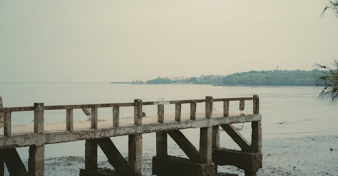 Tendencias: anime & gaming — Buuhoodle, Waqooyibari State Condomini…