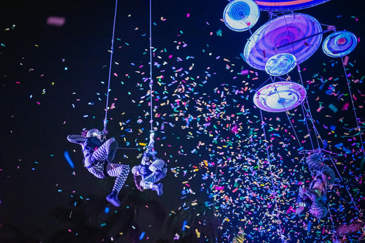 Cómo cuidar y exponer tus coleccionables — planificación de eventos 2025
