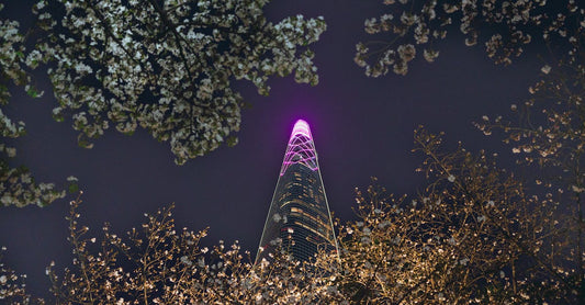 Radar: anime & gaming — Q21075306, Warangal mandal (12 Jan 2026 — 1…