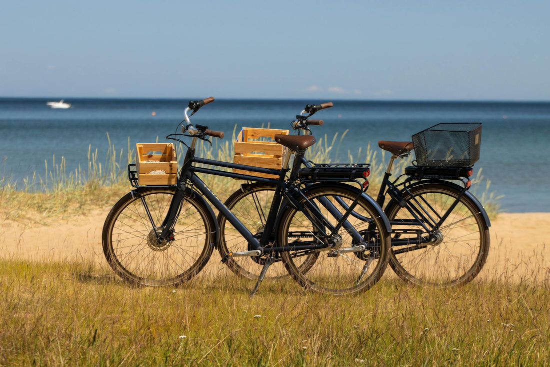 Cómo cuidar y exponer tus coleccionables — cuidado de coleccionables 2025 (edición 4)