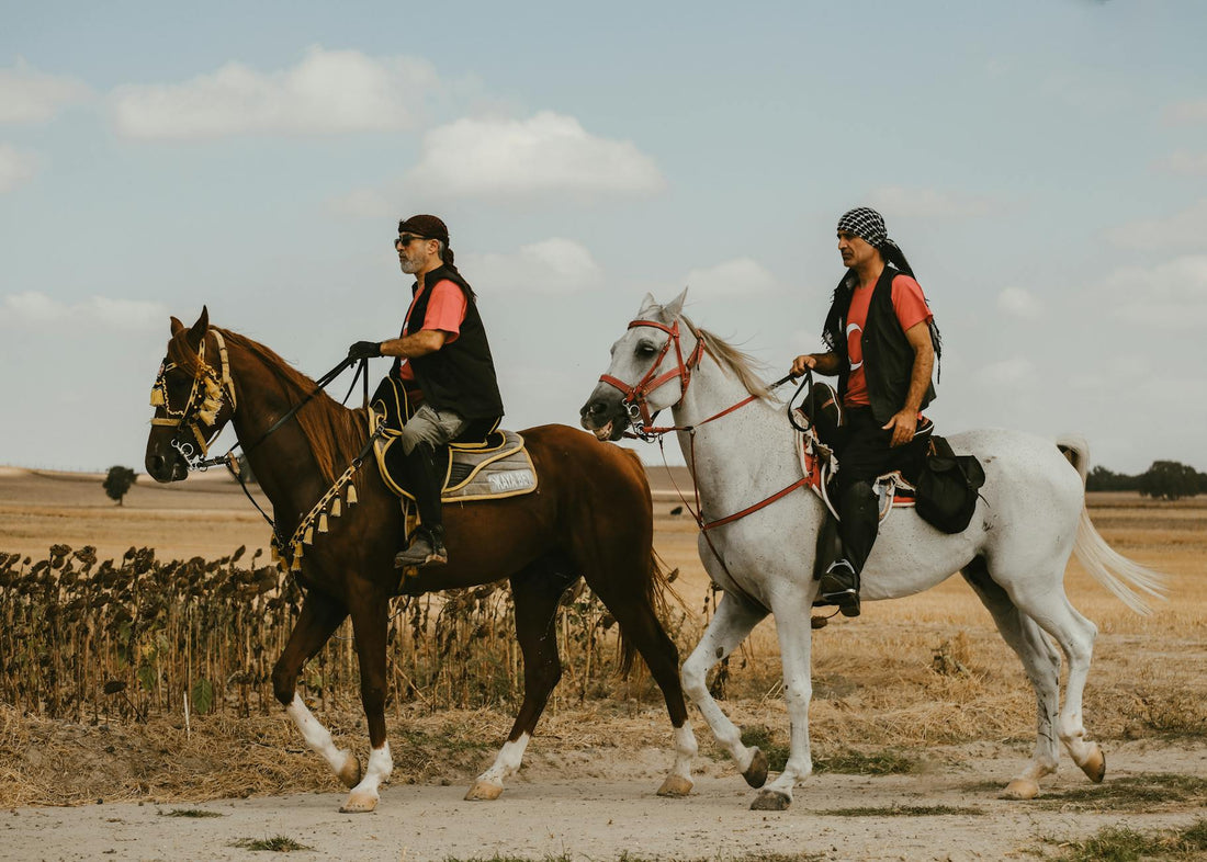 Estilos de animación: del cel tradicional al CGI — 2025 · 1025-2204 · c8ff1