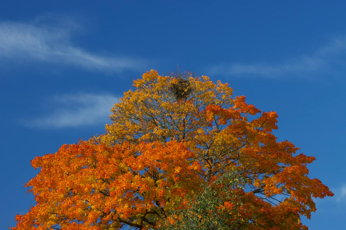 Trucos para sacar partido a tu PS5/XSX: almacenamiento y modos — 2025 · 1023-0603 · 90ee2