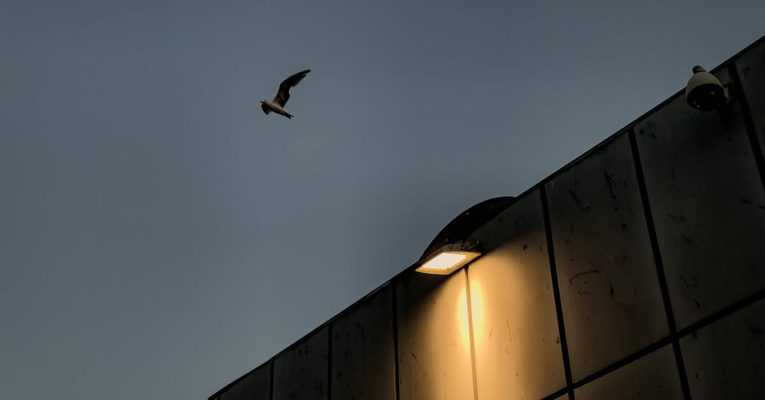 Novedades: anime & gaming — Heian-kyō, Q132869361 (15 Dec 2025 — 21…